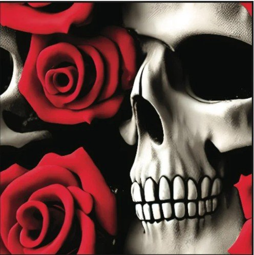 Roses And Single Skull