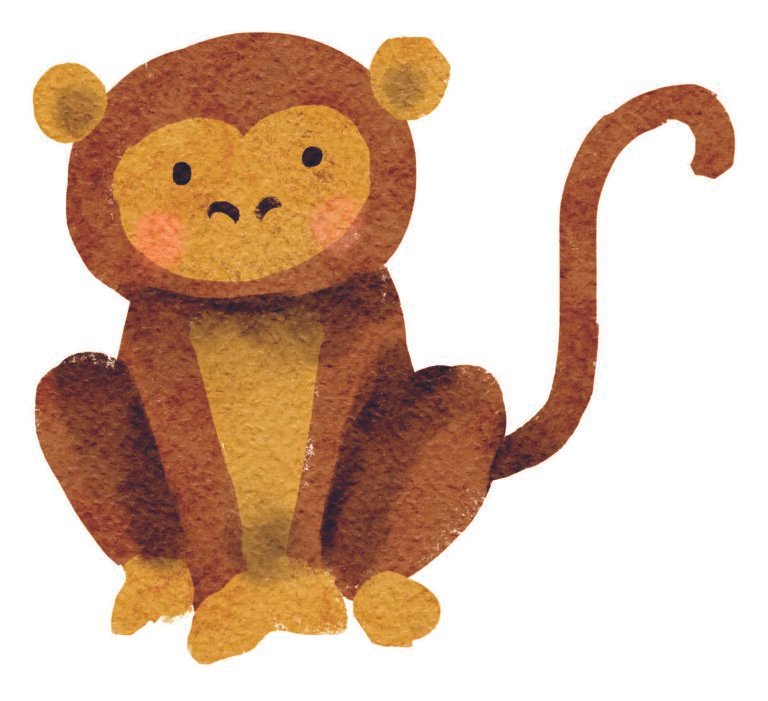 Kids Monkey